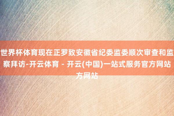 世界杯体育现在正罗致安徽省纪委监委顺次审查和监察拜访-开云体育 - 开云(中国)一站式服务官方网站