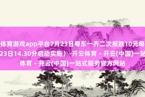 体育游戏app平台7月23日粤东一齐二次报跌10元每吨（2025年7月23日14.30分启动实施）-开云体育 - 开云(中国)一站式服务官方网站