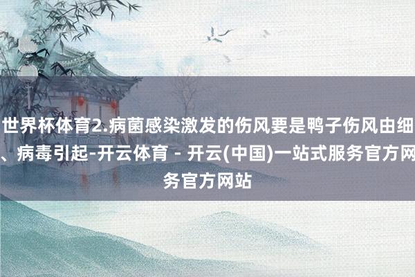 世界杯体育2.病菌感染激发的伤风要是鸭子伤风由细菌、病毒引起-开云体育 - 开云(中国)一站式服务官方网站