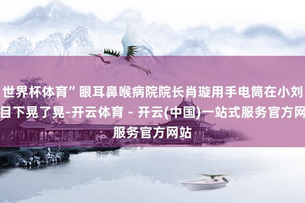 世界杯体育”眼耳鼻喉病院院长肖璇用手电筒在小刘右目下晃了晃-开云体育 - 开云(中国)一站式服务官方网站