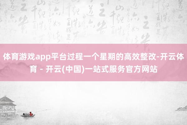 体育游戏app平台过程一个星期的高效整改-开云体育 - 开云(中国)一站式服务官方网站
